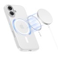 2_max.jpg