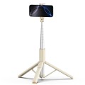 5_max.jpg
