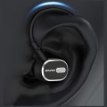 Awe000169_6954284069205_24p.jpg